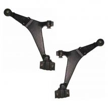 For Citroen Saxo 1996-2003 Front Lower Control Arms Pair